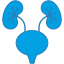 Urology icon